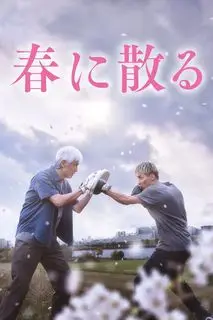 Последний шанс | Опадают весной