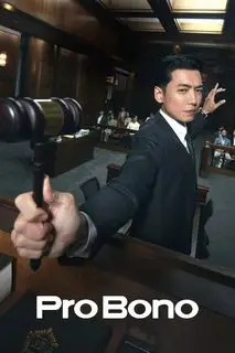 На общественных началах | Про Боно