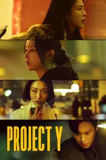 Проект Y